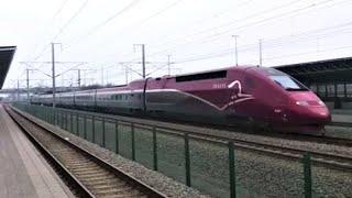 Thalys PBKA: nr 4301 passeert aan 300 km/h het station Noorderkempen