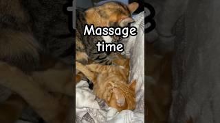 Kittyo is a hard working massage therapist 