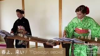 Заказать японских музыкантов на встречу гостей в Москве - японские музыканты на Кото на праздник