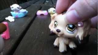 lps - what pet shall we get ?