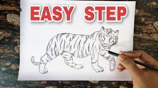 How to draw Tiger Step by step || Tiger Pencil Drawing