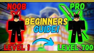 Blox fruit beginners guide