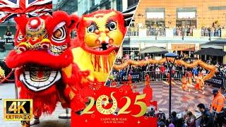 Chinese New Year 2025 in Birmingham Chinatown | Ultimate Tour Festival Highlights & Events