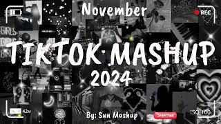 Tiktok Mashup November 2024 (Not Clean)