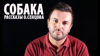 Олег Сенцов - рассказ СОБАКА. Читает Григорий Решетник