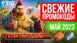 НОВЫЙ промокод RAID Shadow Legends  МАЙ 2023 