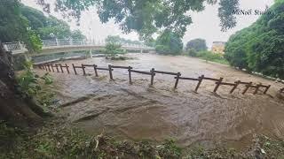 Cyclone Belal Mauritius (Ile Maurice)