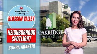 Neighborhood  Spotlight: Blossom valley