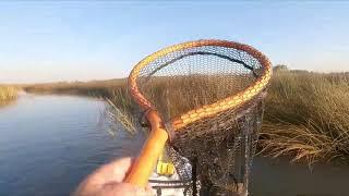 Flounder LOVE this LURE! #flounder #fishing #fishbites