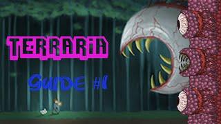 Terraria 1.3 |  Гайд | Как убить стену плоти?!