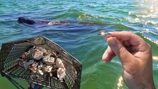 Manatees and GOLD! Beach Metal Detecting