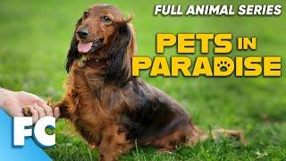 Pets In Paradise (13/26) | Season 1 Episode 13: Weiner Dogs to the Rescue | Full Animal TV Show | FC