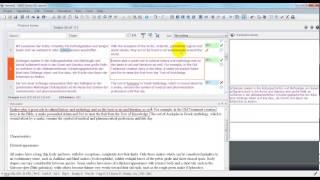 memoQ Editing with LiveDocs and QA