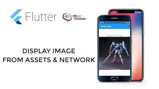 Flutter Tutorial - 5.Display Image