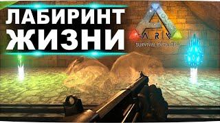 Лабиринт жизни на карте Ragnarok в ARK. Артефакты мудрости, бродяги, целостности и небесного лорда