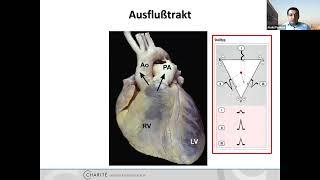 EKG - From Beginner To Boss | Teil 5 | Fast & Furious 3 - mit Dr. Sebastian Feickert