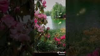 Рекой течёт судьба моя.... Тик Ток