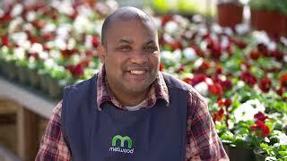 Melwood Enterprises Landscaping Services