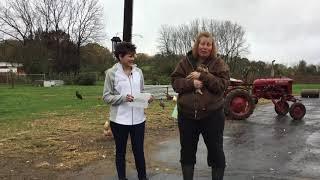 Happy Wife Acres