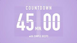 45 Min Countdown Flip Clock Timer / Simple Beeps 🫐 