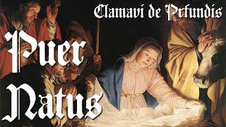 Puer Natus - Clamavi De Profundis