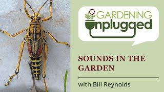 Gardening Unplugged - Sounds in the Garden with Bill Reynolds
