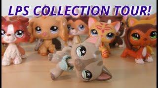 MY LPS COLLECTION TOUR! {50k Special}