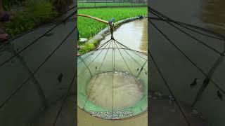 Traditional Fishing in Agricultural Landscapes