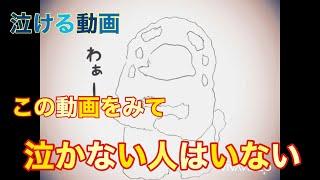 感動‼︎絶対に泣ける動画！