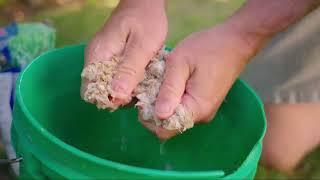 Lawn care with toilet paper!