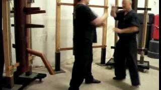 Master Jerry Cook Chinese Boxing 18 set Budda Palm / Wing Chun form13
