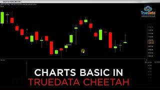 Charts Basic in TrueData Cheetah