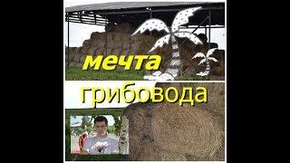 Мечта грибовода. Бесконечный субстрат для выращивания грибов. Грибы Вешенка. "Месть Лису"(((