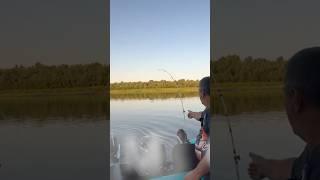 Я ржал до слез! Убойная рыбалка на сазана. #рыбалка #смех #fishing