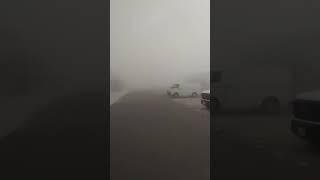 saudi arabia  1st winter