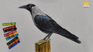 Crow drawing || How to draw Crow || Art JanaG