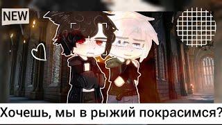 [] Хочешь, мы в рыжий покрасимся?) Harry Potter~ [‍] meme Tom/Harry/Draco