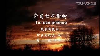 俄罗斯民歌《纤弱的花楸树》"Тонкая рябина" - 中文版