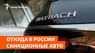 Откуда в России санкционные авто | Сибирь.Реалии