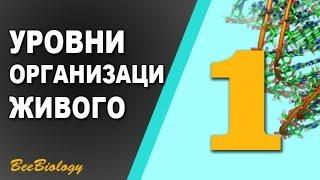 Урок по Биологии №1 - Уровни Организации Живой Материи