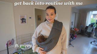 get back into routine with me *with a new puppy*