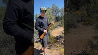 NEW Crossman Full auto M1 carbine