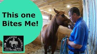 Pushy, Aggressive, Biting, and Dominant Horse Behavior