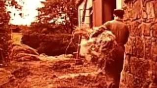 1940s stock footage - from flax to linen