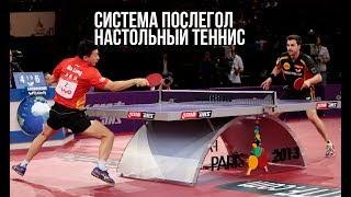 СТАВКИ НА СПОРТ | ПОСЛЕГОЛ | НАСТОЛЬНЫЙ ТЕННИС