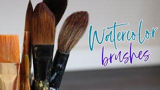 Consider THIS When Buying Watercolor Brushes | How to Choose Your Brushes!