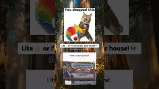 Daily dose of #memes is here for ya!