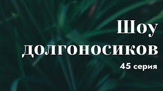 podcast | Шоу долгоносиков - 45 серия - #Сериал онлайн подкаст подряд, когда выйдет?