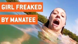 Girl Freaks Out About Manatee | Cow of the Sea