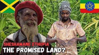 24 Hours with Repatriated Rastas in Shashamane, Ethiopia 